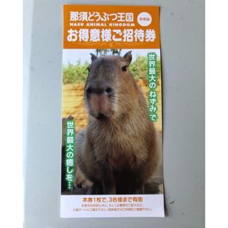 「那須どうぶつ王国」のお得意様ご招待券(非売品)(動物園)