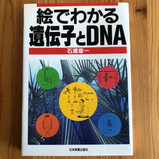 絵でわかる遺伝子とDNA(健康/医学)