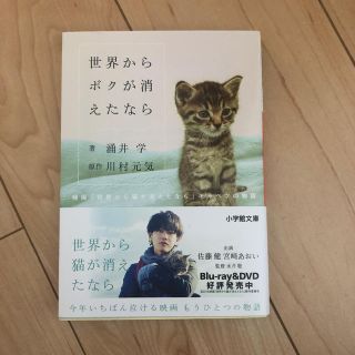 世界からボクが消えたなら 映画「世界から猫が消えたなら」キャベツの物語(文学/小説)