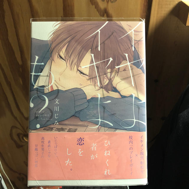 イヤよイヤよも？ エンタメ/ホビーの漫画(その他)の商品写真