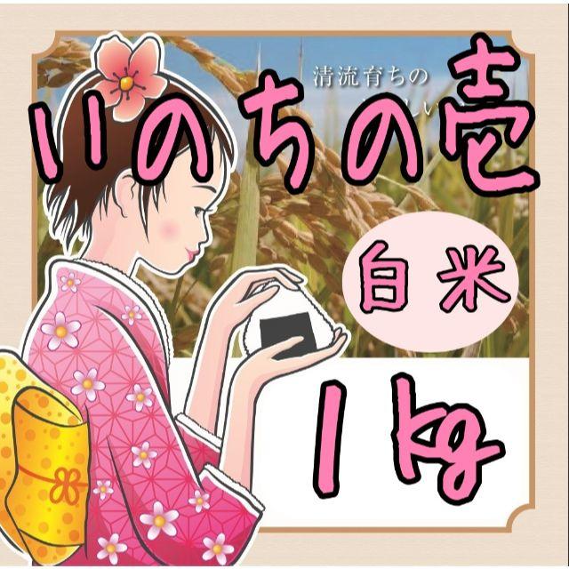 Ｒ元年岐阜県東白川産いのちの壱白米1kg 食品/飲料/酒の食品(米/穀物)の商品写真