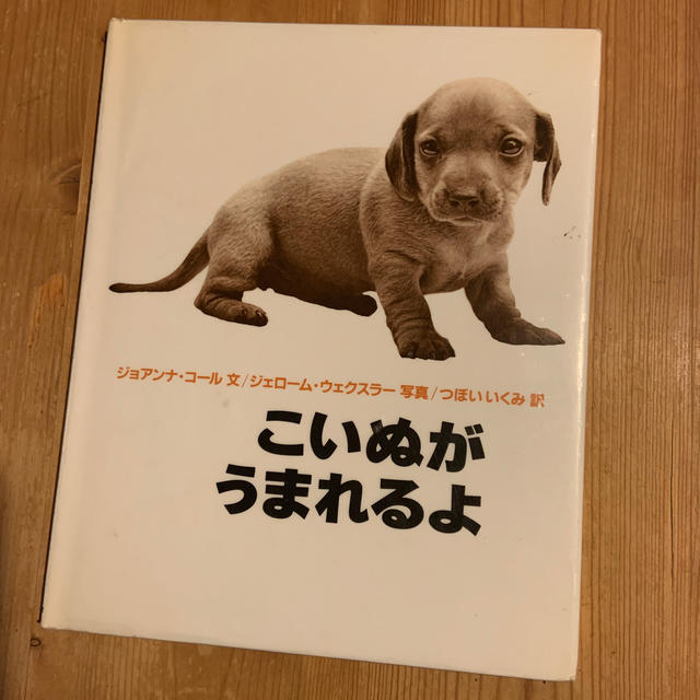 こいぬがうまれるよ エンタメ/ホビーの本(絵本/児童書)の商品写真