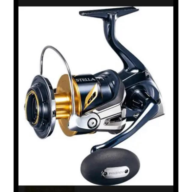 上等な ステラ 19 - SHIMANO 14000PG SW リール - www.capitalliving.co.uk