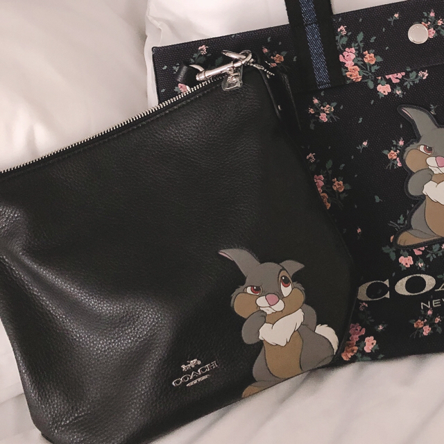 coachコラボ とんすけショルダーバック 1