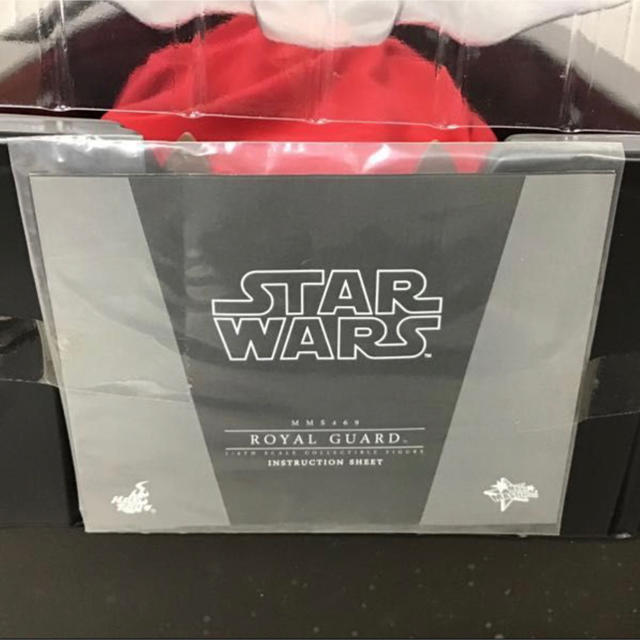 ホットトイズ ムービー STAR WARS ロイヤルガード エンタメ/ホビーのフィギュア(アメコミ)の商品写真