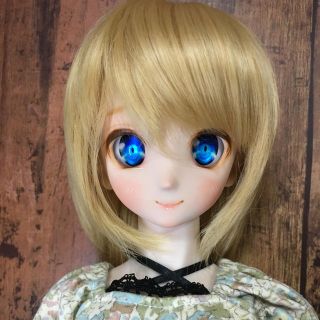 ボークス(VOLKS)のドルフィードリーム DDH-06 メイクカスタム ヘッド(人形)