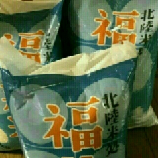 お米　米/穀物