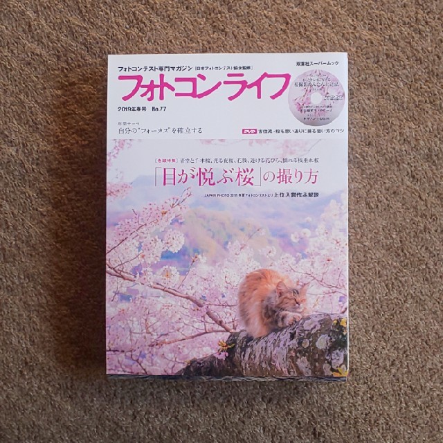 雑誌 フォトコンライフ エンタメ/ホビーの本(趣味/スポーツ/実用)の商品写真