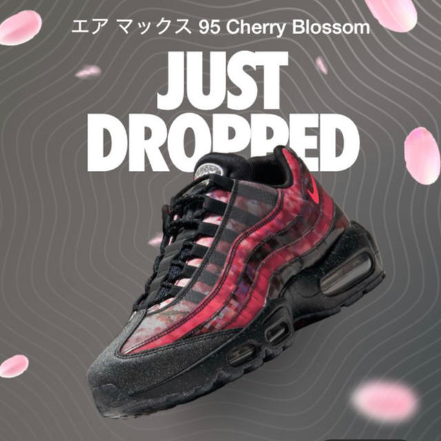 メンズnike air max 95 cherry