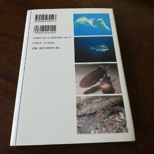 子育てする魚たち 性役割の起源を探る エンタメ/ホビーの本(文学/小説)の商品写真