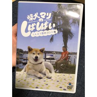 柴犬マリのしばしばい(お笑い/バラエティ)