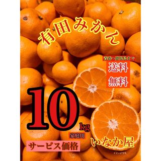 有田みかん　家庭用　数量限定　売り尽くし　早い者勝ち(フルーツ)