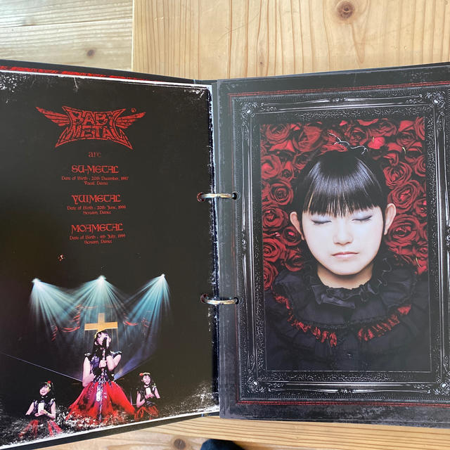 BABYMETAL(ベビーメタル)のBABYMETAL APOGALYPSE GENESIS アーティストブック エンタメ/ホビーのタレントグッズ(アイドルグッズ)の商品写真