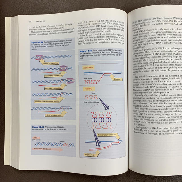 genes VII エンタメ/ホビーの本(科学/技術)の商品写真