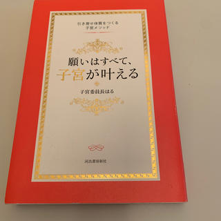 願いはすべて子宮が叶える(健康/医学)