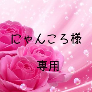 にゃんころ様専用  お米　令和元年　愛媛県産あきたこまち　白米　10㎏(米/穀物)