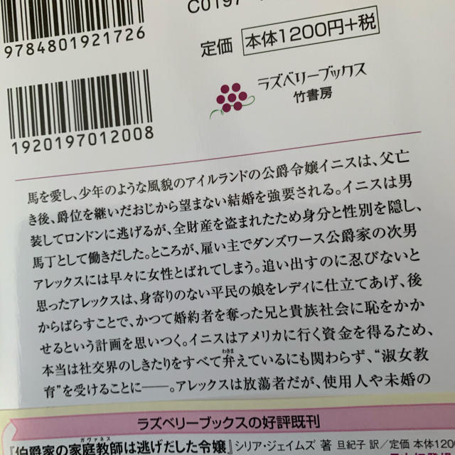 公爵令嬢を“淑女”にする方法　値下げしました。 エンタメ/ホビーの本(文学/小説)の商品写真