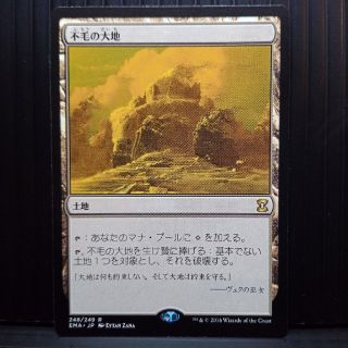 マジックザギャザリング(マジック：ザ・ギャザリング)の［MTG］（EMA）不毛の大地(シングルカード)