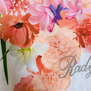 レディー(Rady)のRady 枕カバー (枕)