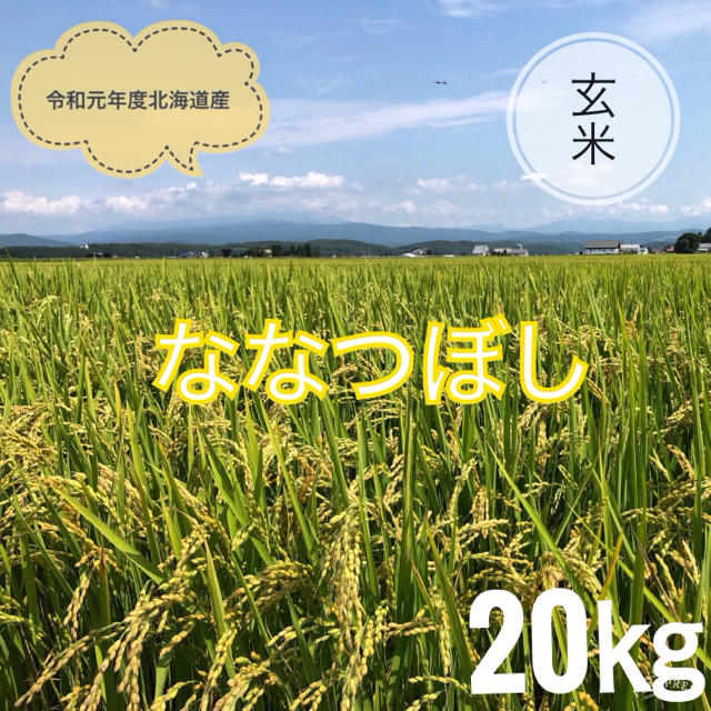 送料無料令和元年北海道産ななつぼし　玄米　20㎏