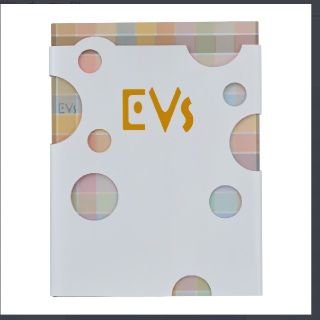 ポケモン(ポケモン)のポケモンセンターオリジナル ブイズ EVS EVs 豪華記念書籍　イーブ イ(キャラクターグッズ)