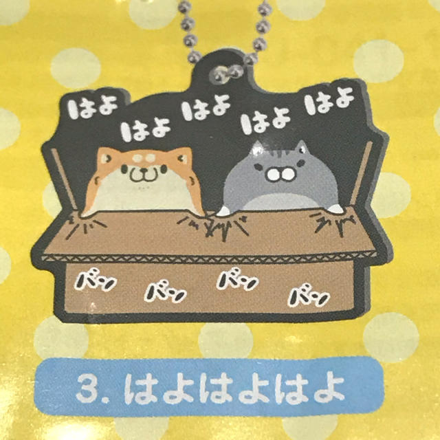 BANDAI(バンダイ)の【専用】ガチャガチャ ボンレス犬とボンレス猫 ラバーマスコット2 はよはよはよ エンタメ/ホビーのおもちゃ/ぬいぐるみ(キャラクターグッズ)の商品写真