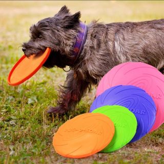 犬　フリスビー　犬用　投げるおもちゃ　トレーニング用　全4色　22cm(おもちゃ/ペット小物)