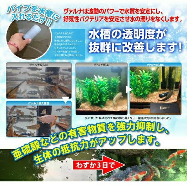 ヴァルナミニ 23センチ 水槽の透明度が抜群に!有害物質強力抑制!水