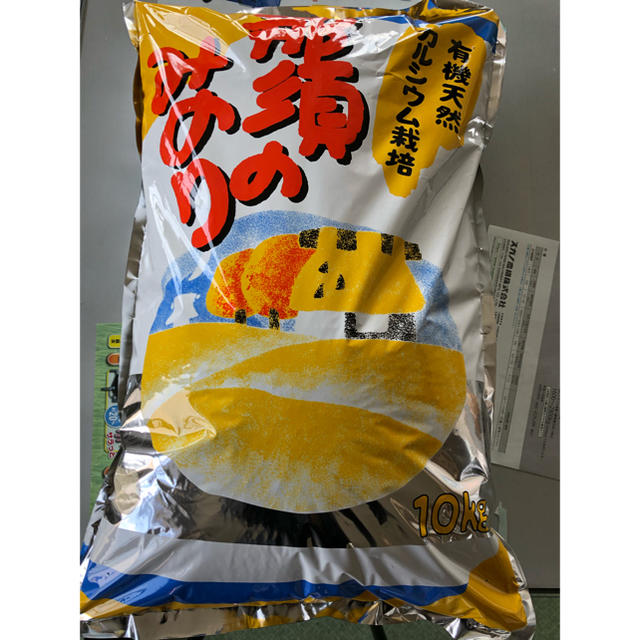 栃木県産 農家直送 新米コシヒカリ10kg 食品/飲料/酒の食品(米/穀物)の商品写真