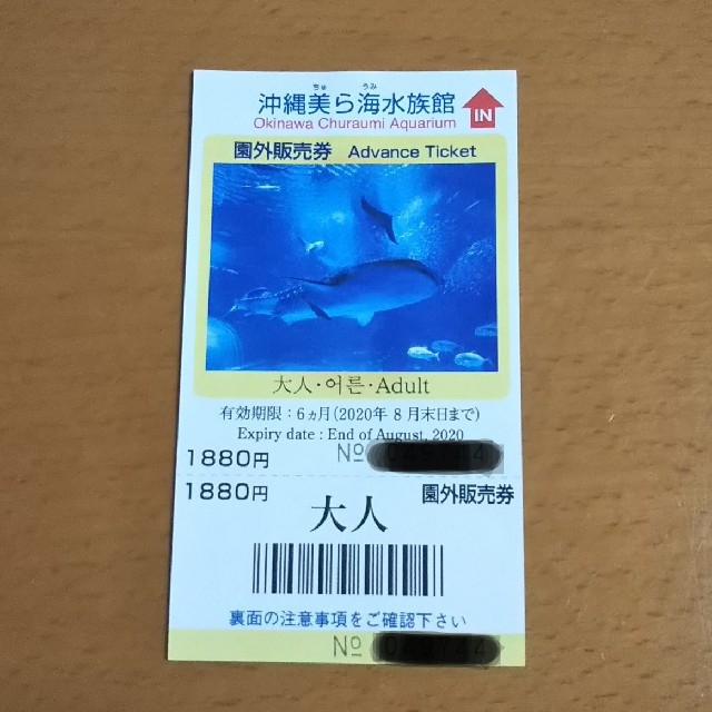 美ら海水族館チケット大人１枚(おまけ付) | energysource.com.br