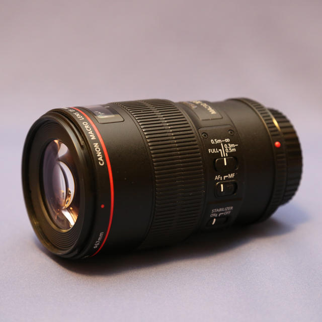 Canon EF100mm F2.8L macro IS USM