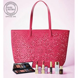 エスティローダー(Estee Lauder)の新品　エスティローダー　限定ギフトセット　特別セット　プレゼント(アイシャドウ)