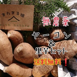 無農薬 ヤーコン&里芋セット 送料無料❗(野菜)