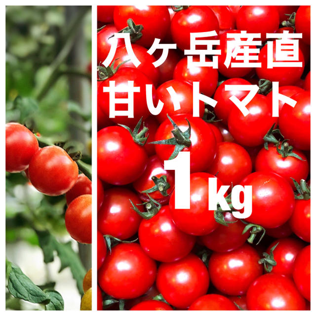 八ヶ岳産　ミニトマト 1kg 甘くて味が濃い  ウィルス、カビ、農薬除去洗浄済 食品/飲料/酒の食品(野菜)の商品写真