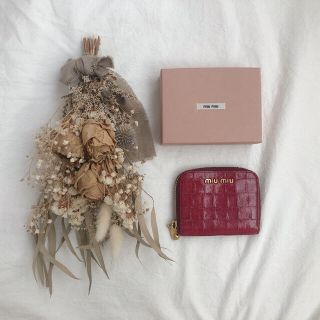 ミュウミュウ(miumiu)のmiu miu コインケース(財布)