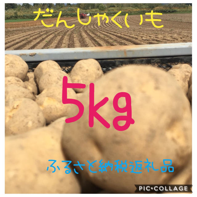 北海道産A品じゃがいも 男爵5kg    食品/飲料/酒の食品(野菜)の商品写真