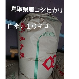 白米、10kg、令和元年、鳥取県産コシヒカリ(米/穀物)