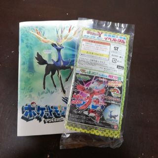 ポケモン(ポケモン)のポケットモンスターXY 先着購入特典　ポケプラミニ＋ミニフォトアルバム(キャラクターグッズ)