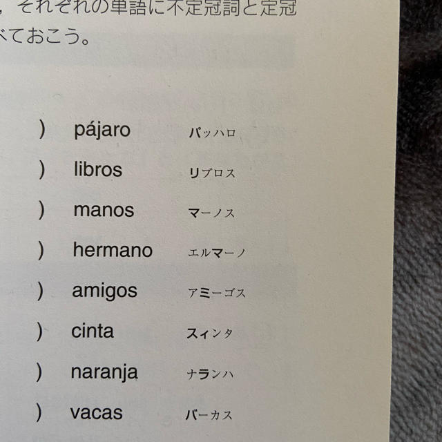 集英社(シュウエイシャ)のやさしいスペイン語文法 エンタメ/ホビーの本(語学/参考書)の商品写真