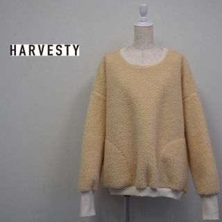 ジャーナルスタンダード(JOURNAL STANDARD)のharvesty ビッグエッグプルオーバー(トレーナー/スウェット)