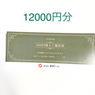 ヨミウリジャイアンツ(読売ジャイアンツ)の最新　東京ドーム 株主優待 12000円分(遊園地/テーマパーク)