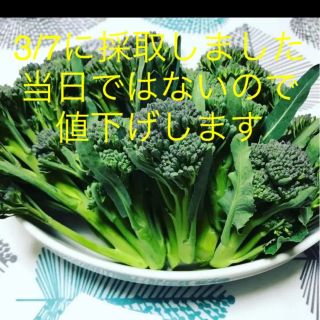 無農薬　スティックブロッコリー(野菜)