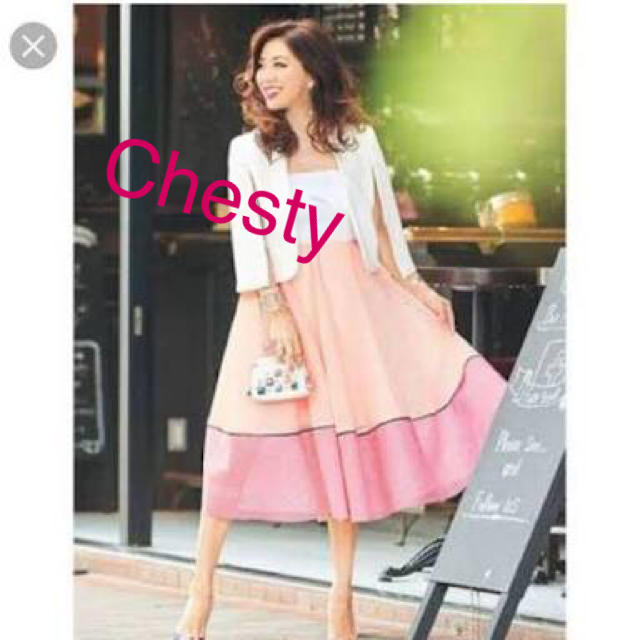 Chesty(チェスティ)のChesty メッシュスカート レディースのスカート(ひざ丈スカート)の商品写真