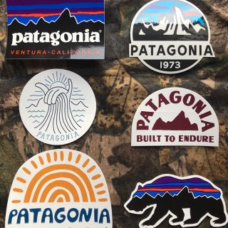 パタゴニア(patagonia)の★補強あり★新品未使用　パタゴニア　定番〜新作ステッカー　6枚セット(その他)