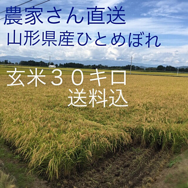 【公式】 令和元年 山形産ひとめぼれ 玄米30キロ おいしい お米 米/穀物 【公式】 令和元年 山形産ひとめぼれ 玄米30キロ おいしい お米 米/穀物