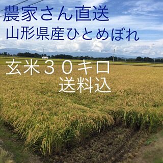 令和元年 山形産ひとめぼれ 玄米３０キロ おいしい お米(米/穀物)