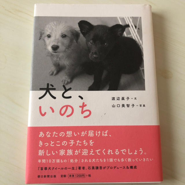 犬と、いのち エンタメ/ホビーの本(住まい/暮らし/子育て)の商品写真