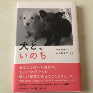 犬と、いのち(住まい/暮らし/子育て)