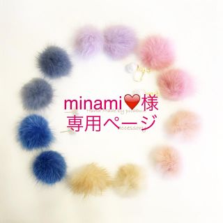 minami❤️様専用ページ(ピアス)