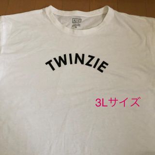 Tシャツ　半袖　ホワイト　150〜160cm  3L(Tシャツ(半袖/袖なし))